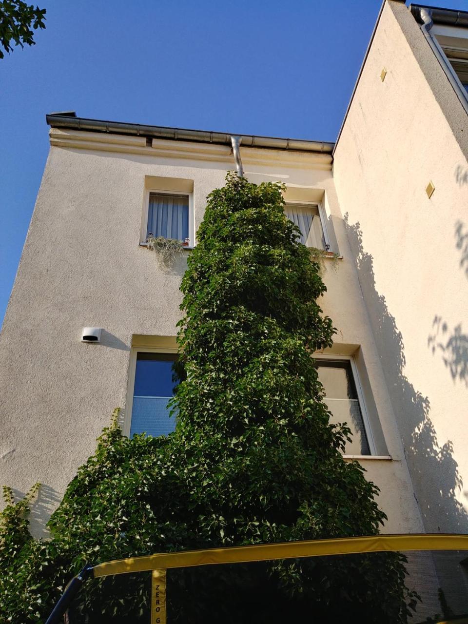 gapart - Apartments mit Küche Leipzig Buitenkant foto